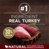 True Instinct Turkey and Venison Dry Dog Food, 36 lb Bag